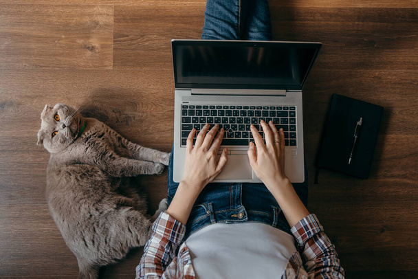 Donna con notebook, laptop e gatto. Freelancer rimanere a casa vista dall'alto - concetto di casa di lavoro
 - Foto, immagini