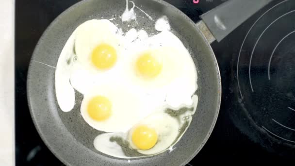 fried eggs cooked in a frying pan at home on the stove in sunflower oil - Video
