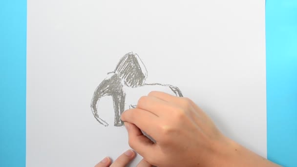 Draw an elephant. The child draws the picture. - Filmagem, Vídeo