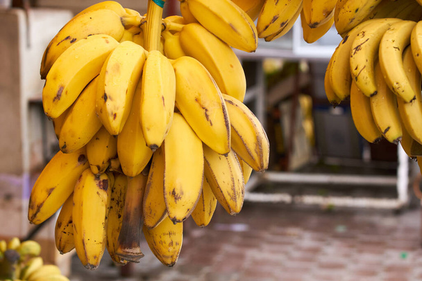 Купа дозрілих бананів на продаж у традиційному барвистому місцевому ринку Марокко.                                - Фото, зображення