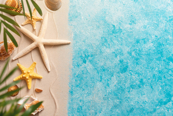 summer beach background with shell sea star blurred Palm vacation and travel concept, Flat lay top view copy space Minimal exotic concept. Creative layout of sand waves and sea - Фото, изображение