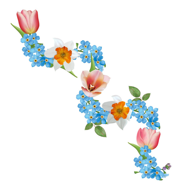 Tulip, Narcissus, forget-me-nots. Vector illustration - Vetor, Imagem