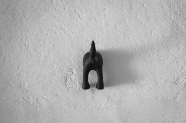 Funny hanger or peg with the shape of a dog ass on deteriorated white wall. Lovely and amusing decoration. - Φωτογραφία, εικόνα