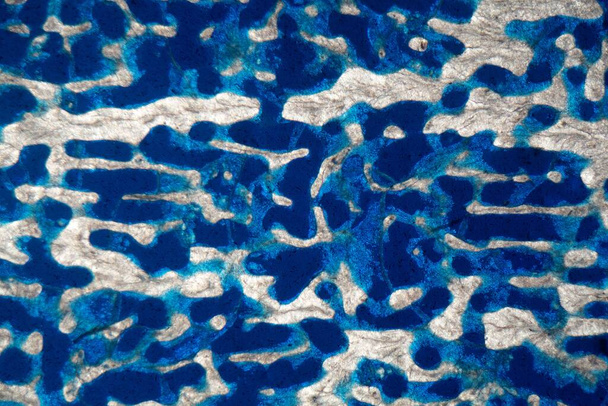 Mikroskop-Foto eines petrographischen dünnen Schnitts aus einem Korallenskelett, der Porenraum ist mit blauer Farbe gefüllt.  - Foto, Bild