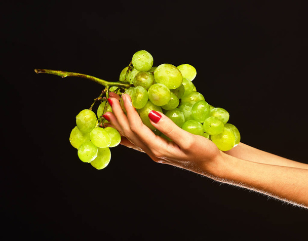 Autumn vinery harvest idea. Cluster of white or green grapes - Foto, Imagen