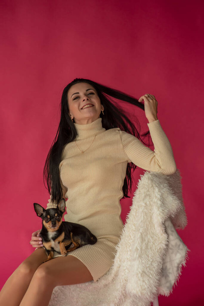 Woman and dog.Portrait of a girl. Man and animal. Brunette and black chihuahua.Adorable little girl holding chihuahua. girl holding chihuahua dogs in her arms. Girl in the studio on a pink background. - Photo, Image
