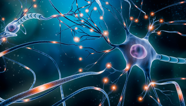 Rede neuronal com atividade elétrica de células neuronais ilustração de renderização 3D. Neurociência, neurologia, sistema nervoso e impulso, atividade cerebral, conceitos de microbiologia. Visão do artista
. - Foto, Imagem