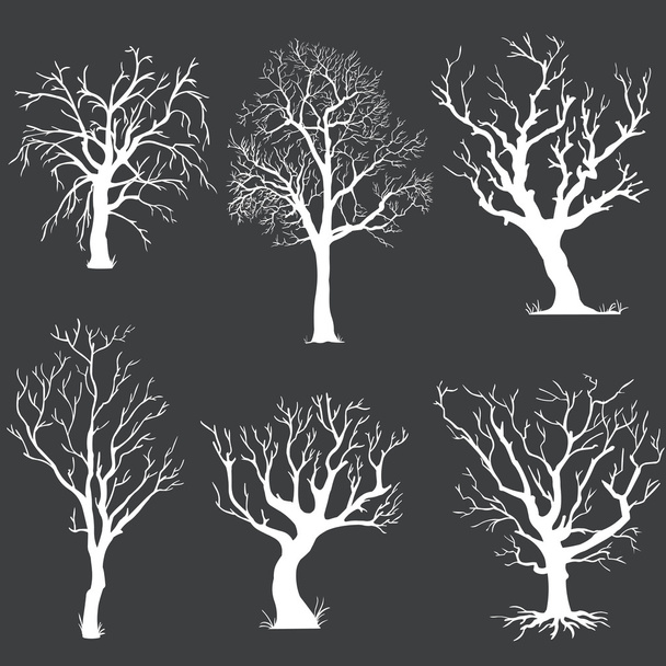 Conjunto vectorial de siluetas de árboles desnudos blancos
 - Vector, Imagen