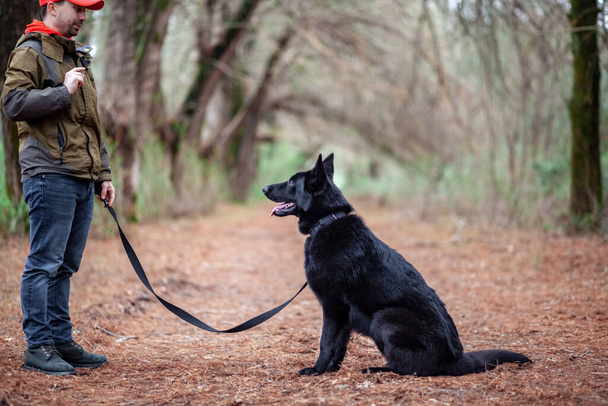 Портрет чорного німецького пастуха з його власником в парку, твариною. - Фото, зображення