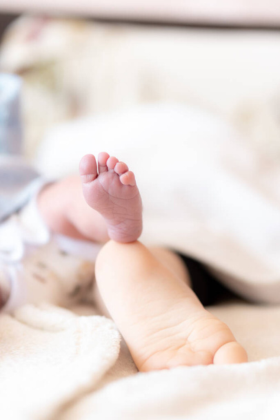 Close-up of the foot of a newborn baby and a one-year-old baby. Feet of infants of different ages sleeping. Foot of a newborn over the foot of another child. - 写真・画像