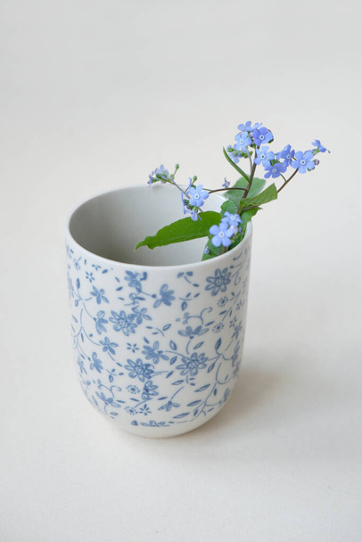 forget me not flower in small pot - Photo, Image