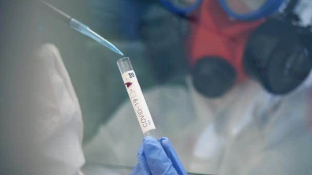 Person fills a test tube with liquid while researching coronavirus. - Πλάνα, βίντεο
