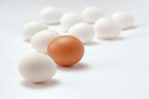 Eggs. - Foto, imagen