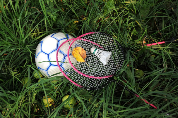 Raquetes de badminton e pássaro na bola
 - Foto, Imagem