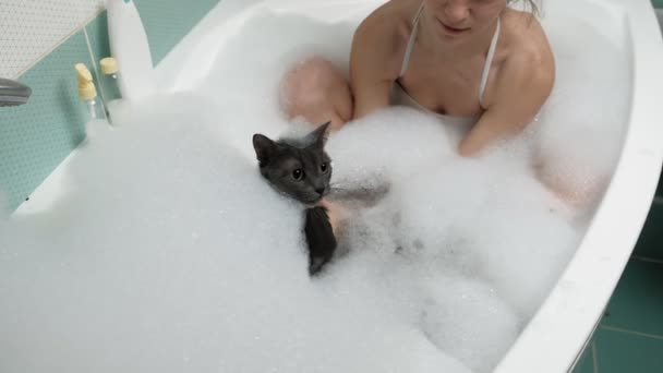 Een vrouw baadt een kat in de badkamer. - Video