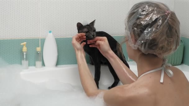 Une femme baigne un chat dans la salle de bain
. - Séquence, vidéo