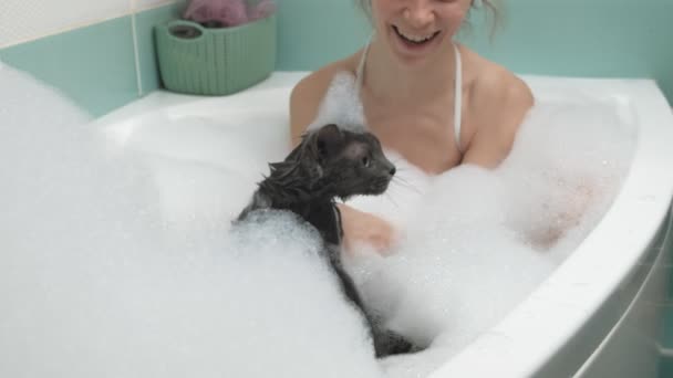 Egy nő megfürdik egy macskát a fürdőszobában.. - Felvétel, videó