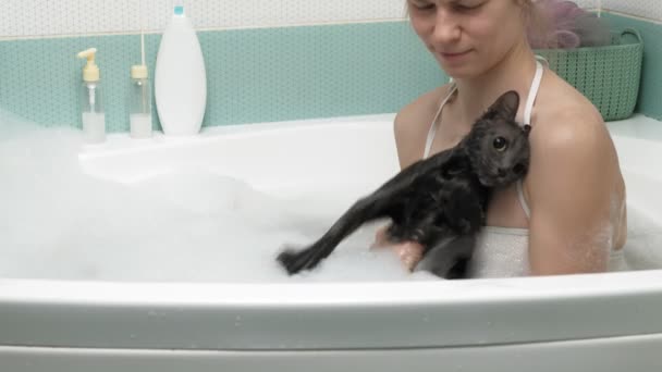 Een vrouw baadt een kat in de badkamer. - Video
