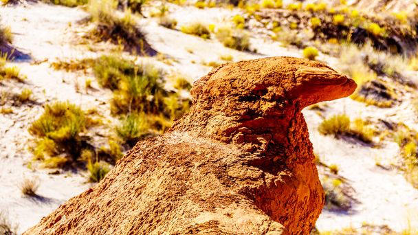 Η διάβρωση διαμόρφωσε αυτό το σχηματισμό βράχου για να μοιάζει με ένα πουλί κατά μήκος του μονοπατιού πεζοπορίας Toadstool μεταξύ Page, Arizona και Kanab, Utah στο Grand Staircase-Escalante Μνημείο στη Γιούτα, Ηνωμένες Πολιτείες - Φωτογραφία, εικόνα