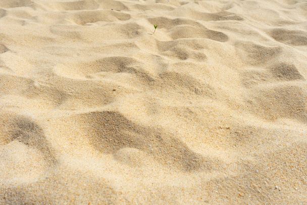 beautiful nature beach sand texture as background - Photo, Image
