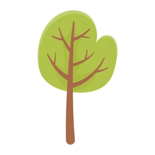 árbol follaje vegetación naturaleza botánica aislado icono
 - Vector, imagen