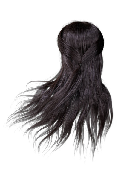 renderização 3d, ilustração 3d, fantasia marrom escuro cabelo visão traseira no fundo branco isolado
 - Foto, Imagem