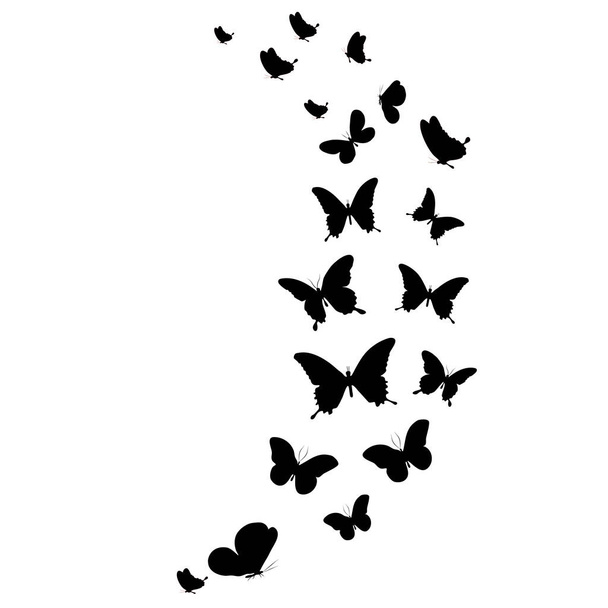 Silhouet mooie vlinders, geïsoleerd op transpant achtergrond vector - Vector, afbeelding