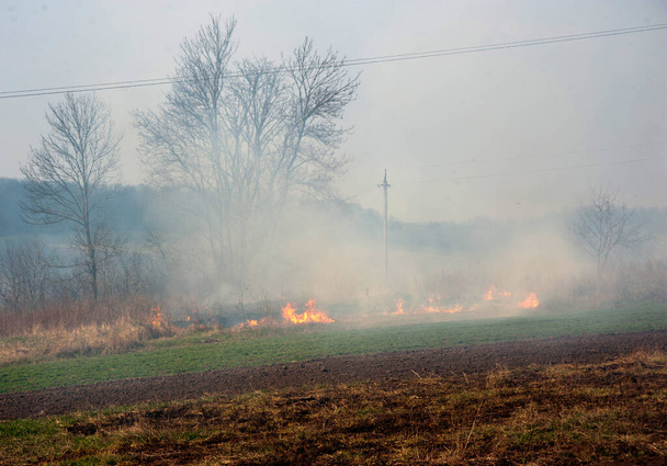 Romanivka, regio Ternopil, Oekraïne -28.03.2020: grasverbranding, gevaar voor natuurbranden, problemen en milieurampen in Oekraïne - Foto, afbeelding