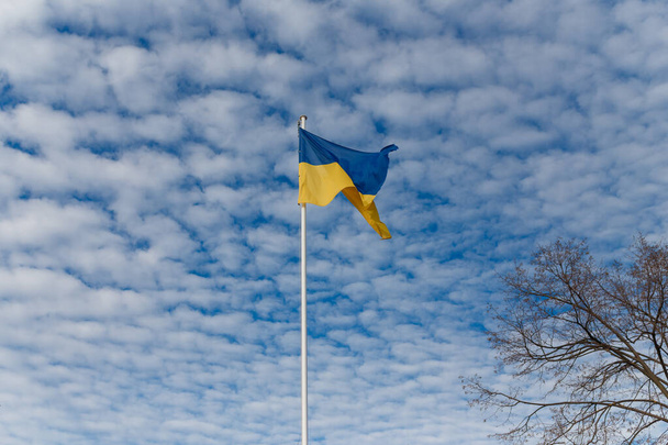 Ukrainische gelbe und blaue Flagge weht auf blauem bewölkten Himmel Hintergrund mit Baum btanches. - Foto, Bild