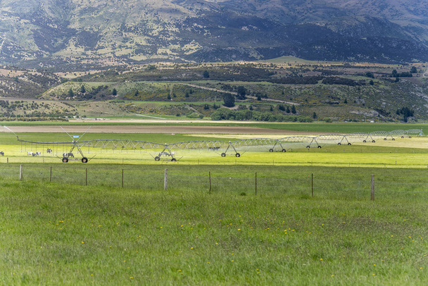 zavlažovací postřikovací systém a dobytek v zelené krajině, zastřelen v jasném jarním světle poblíž Luggate, Otago, Jižní ostrov, Nový Zéland - Fotografie, Obrázek
