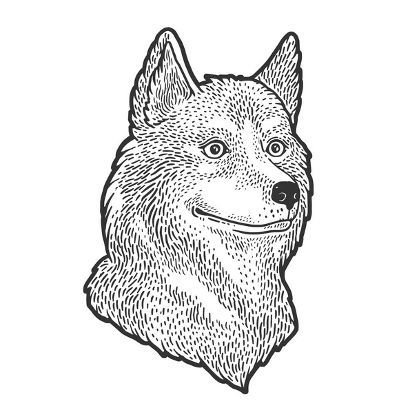 Croquis de chien Husky gravure vectorielle illustration. T-shirt imprimé design. Imitation de carte à gratter. Image dessinée à la main noir et blanc
. - Vecteur, image