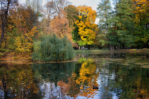 Lake and Autumn Foliage in Lazienki Park - Valokuva, kuva