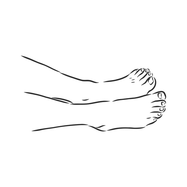 Femme humaine pieds nus ligne dessin. Illustration vectorielle croquis
 - Vecteur, image