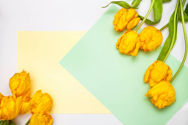 bright flowers on a beautiful background - Фото, изображение