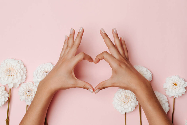 ピンクの背景にダリアの花の間で、女性の手は、心臓のサインをする。優しさの概念. - 写真・画像