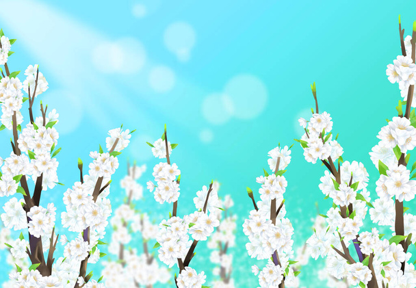 Illustration eines Kirschbaums in voller Blüte unter blauem Himmel mit Sonnenlicht. - Vektor, Bild