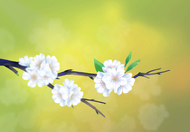 Close-up kersenbloesem illustratie met groene, natuurlijke kleur achtergrond. - Vector, afbeelding