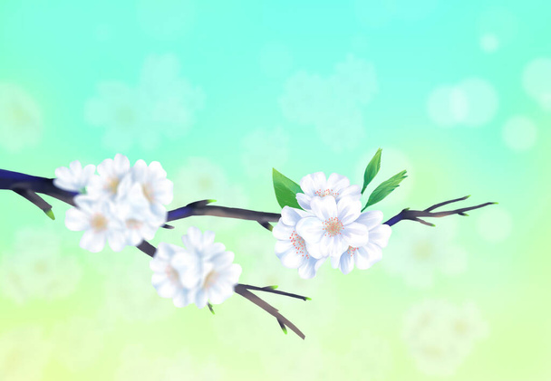 Иллюстрация цветения вишни крупным планом с ярким бирюзовым цветом фона
. - Вектор,изображение