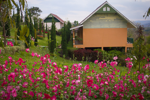 будинок з садом на пагорбі
 - Фото, зображення
