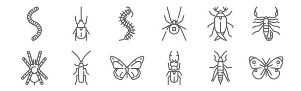 set van 12 insecten pictogrammen. schets dunne lijn pictogrammen zoals vlinder, kever, kakkerlak, bug, worm, kever - Vector, afbeelding