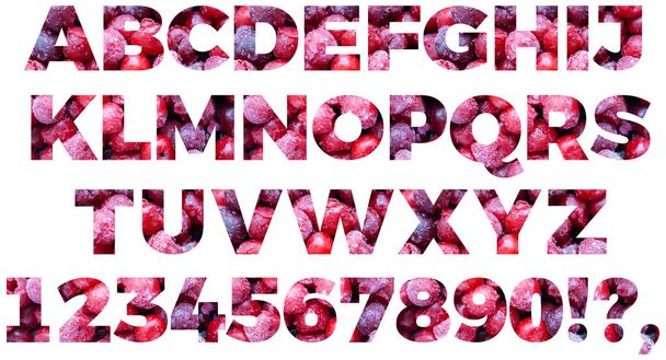 Full english alphabet set from frozen cherries. Letters and numbers isolated on white background - Photo, Image