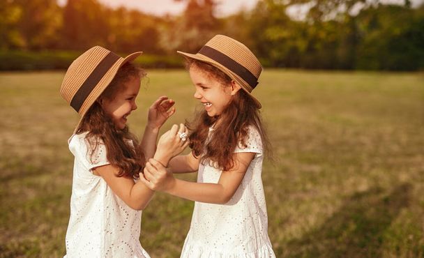 Happy twin girls having fun on meadow - Foto, Imagem