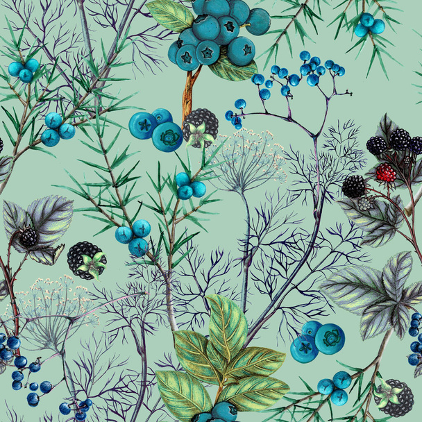 Akvarel botanický vzor lesních bobulí - Fotografie, Obrázek