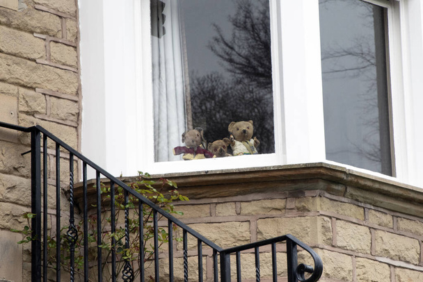 Rodina medvídků v okně značí naději v době koronaviru - Fotografie, Obrázek