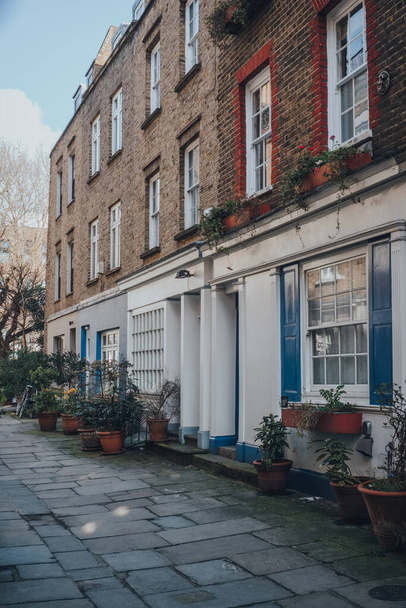 Traditional English houses on a street in London, UK. - 写真・画像