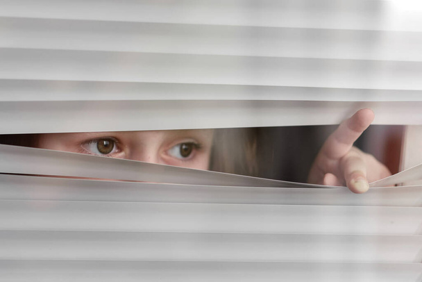 A little girl with a sad look, looks through the blinds. - Zdjęcie, obraz