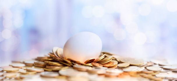 Hatched egg and coins stack. Pension fund, 401K, Strategies and plan for passive income. Saving money and investment. Risk management for business growth. Manage money in retirement. - Photo, Image