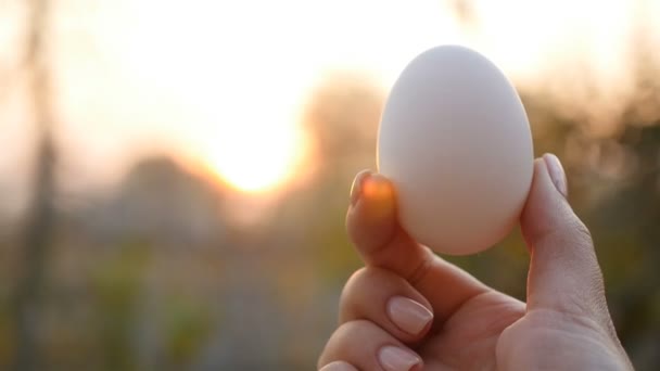 白い鶏の卵を女性の手で。接近中だ。スローモーション - 映像、動画