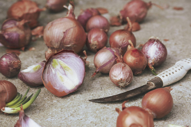 number of organic, homegrown onions on cement floor - Foto, Imagem