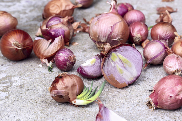 number of organic, homegrown onions on cement floor - Photo, Image